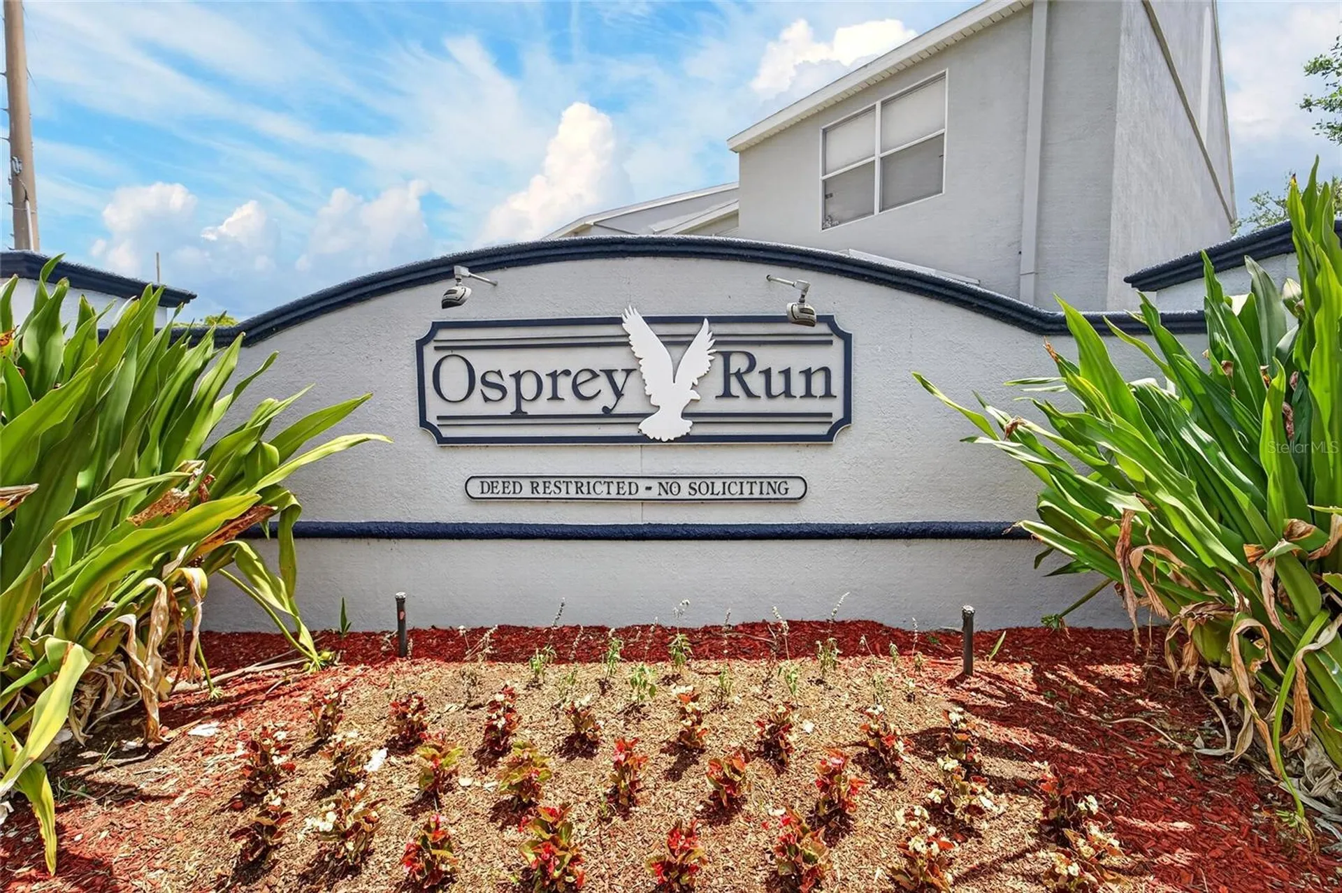 6557 Osprey Lake Circle Riverview FL 33578