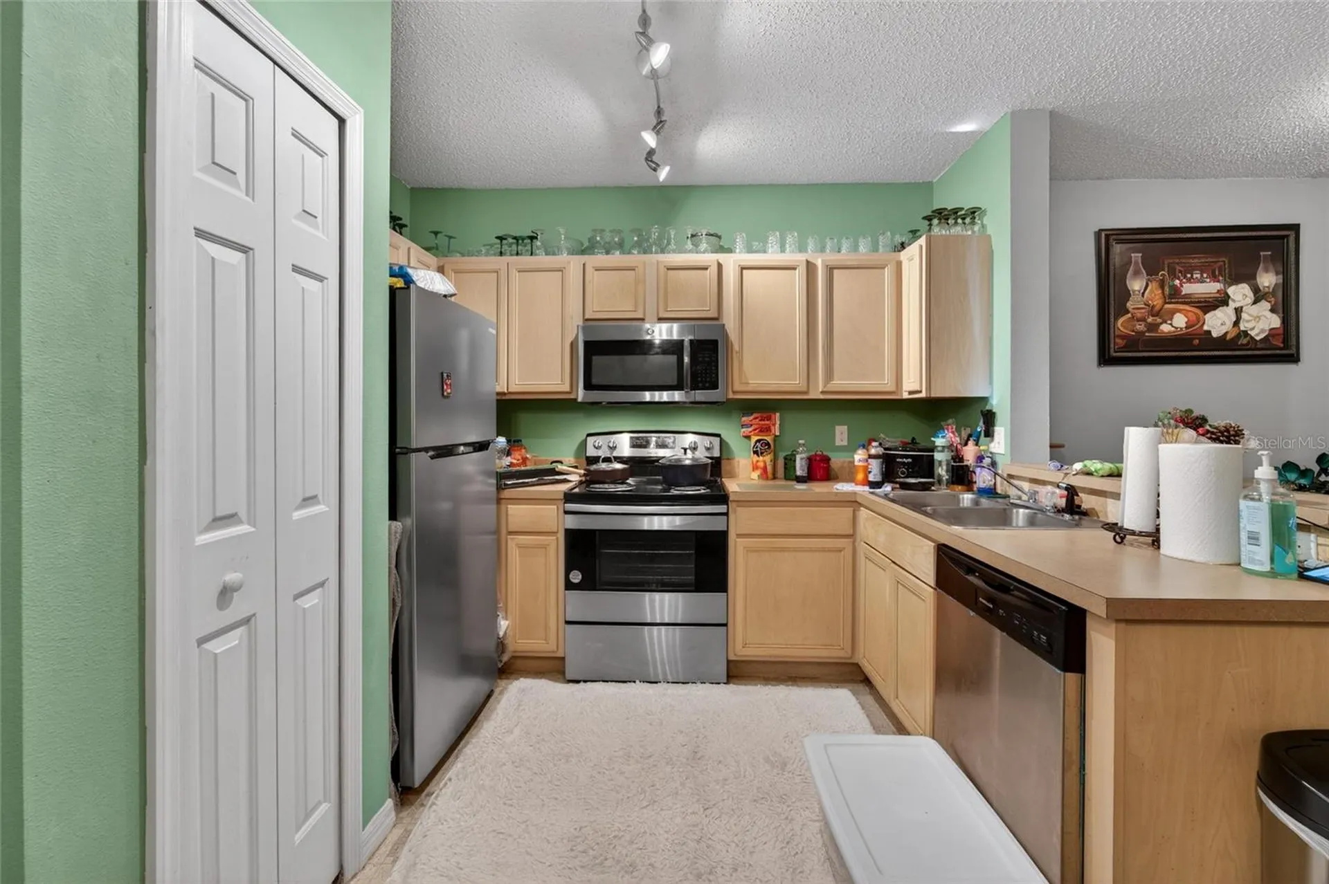 6557 Osprey Lake Circle Riverview FL 33578