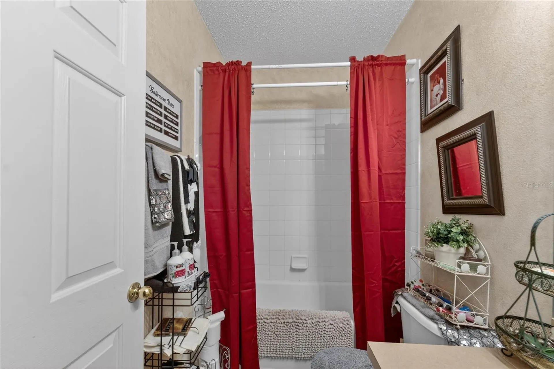 6557 Osprey Lake Circle Riverview FL 33578