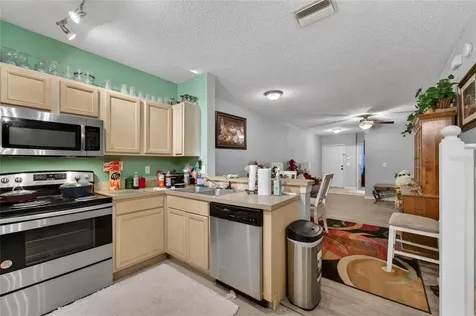6557 Osprey Lake Circle Riverview FL 33578