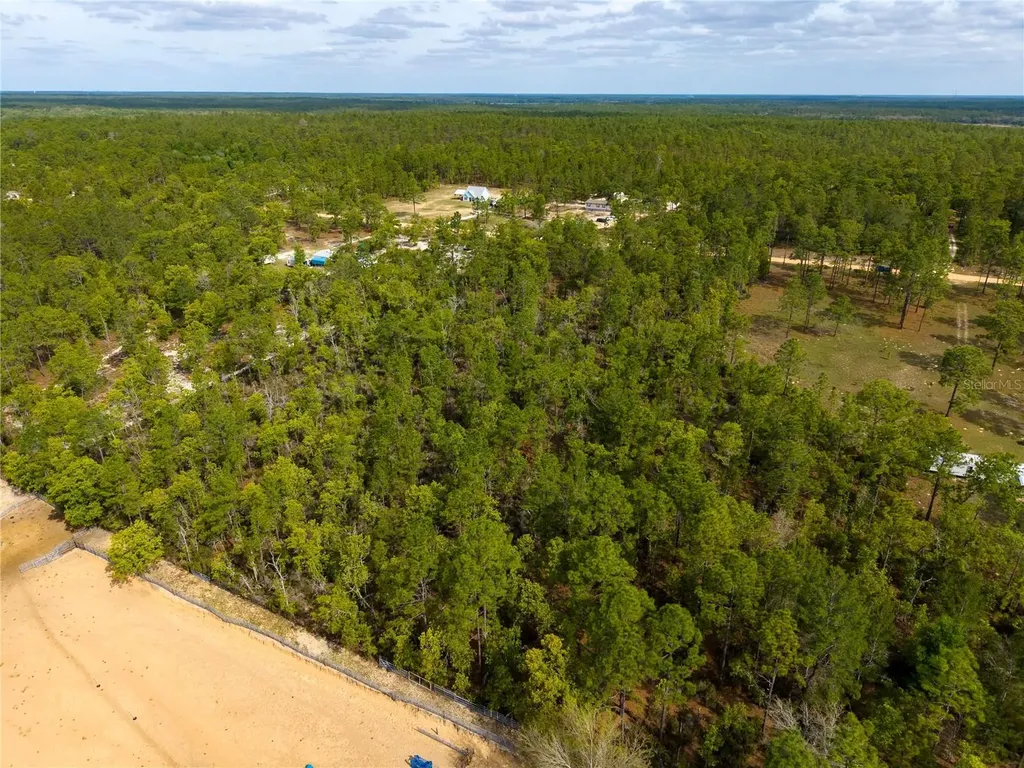 230 Melrose Landing Drive Hawthorne FL 32640