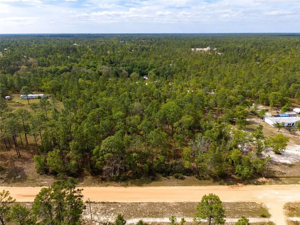 230 Melrose Landing Drive Hawthorne FL 32640