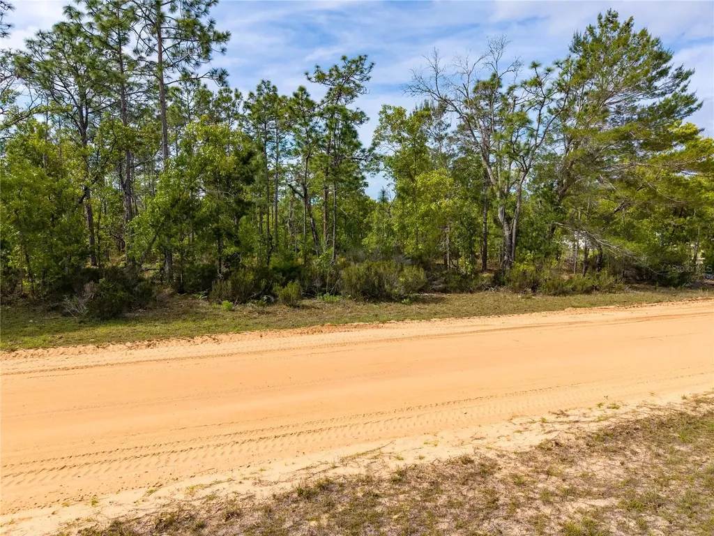 230 Melrose Landing Drive Hawthorne FL 32640