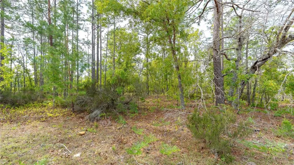 230 Melrose Landing Drive Hawthorne FL 32640