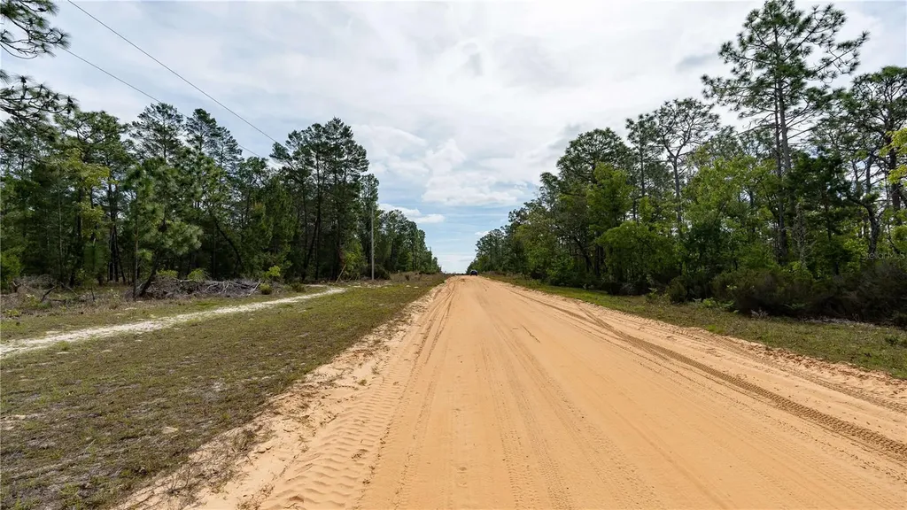 230 Melrose Landing Drive Hawthorne FL 32640