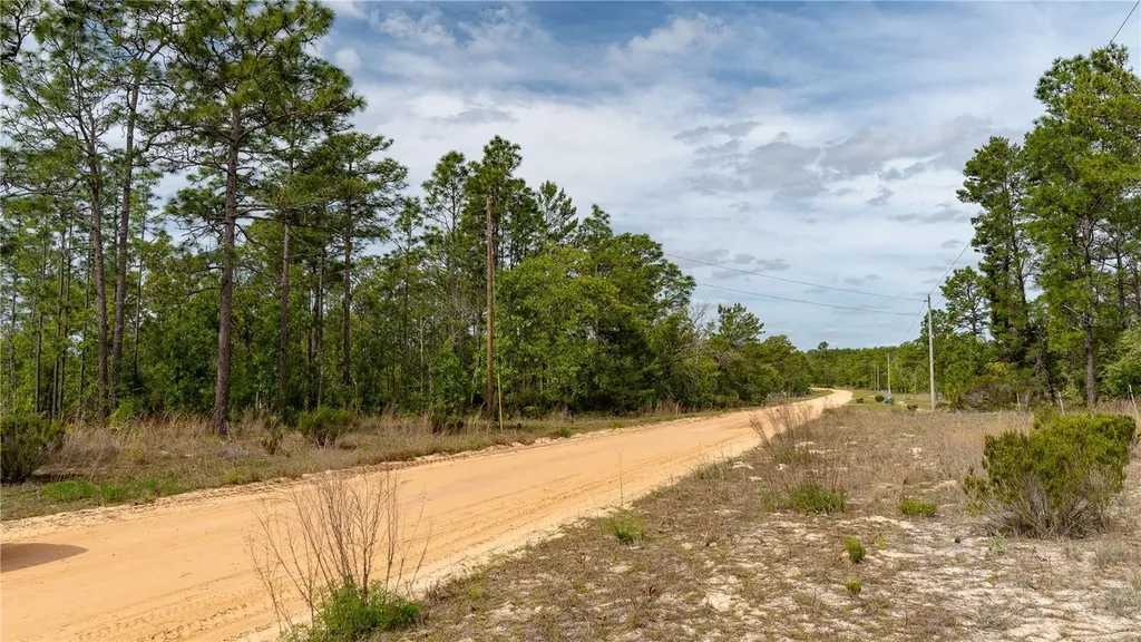 230 Melrose Landing Drive Hawthorne FL 32640