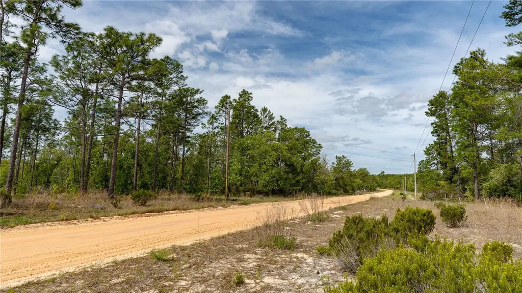 230 Melrose Landing Drive Hawthorne FL 32640