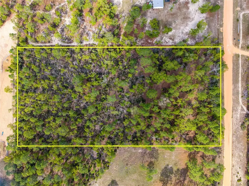 230 Melrose Landing Drive Hawthorne FL 32640