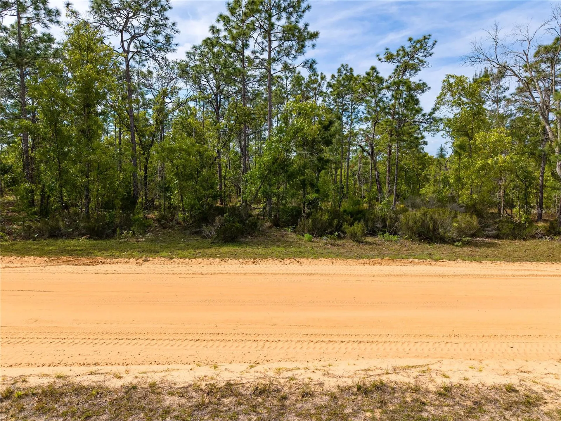 230 Melrose Landing Drive Hawthorne FL 32640