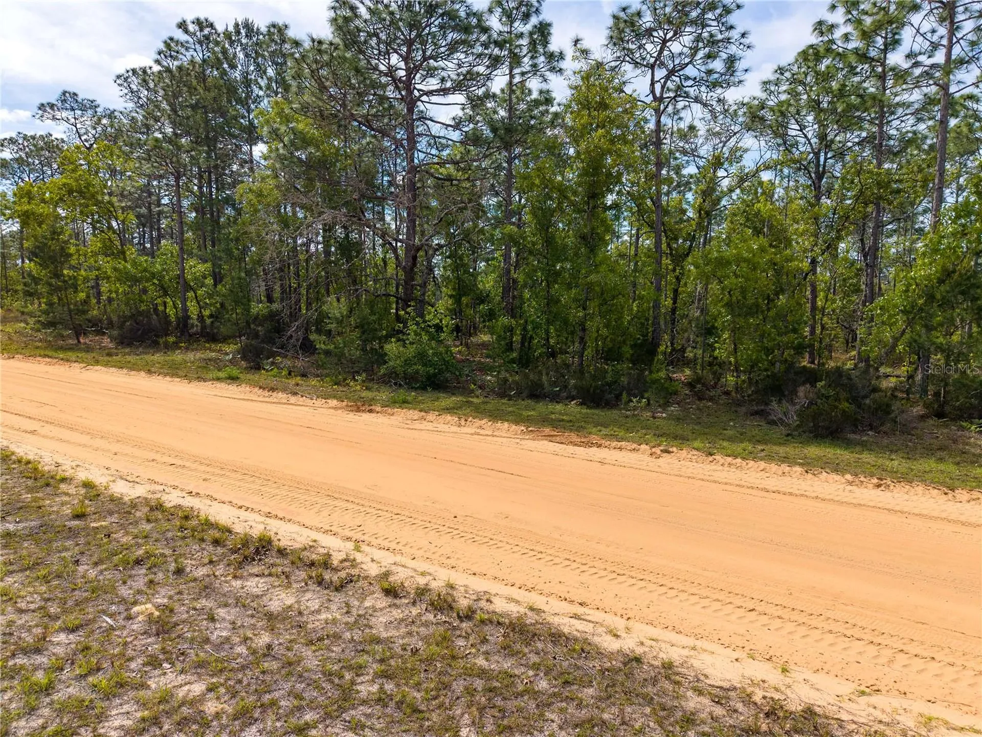 230 Melrose Landing Drive Hawthorne FL 32640