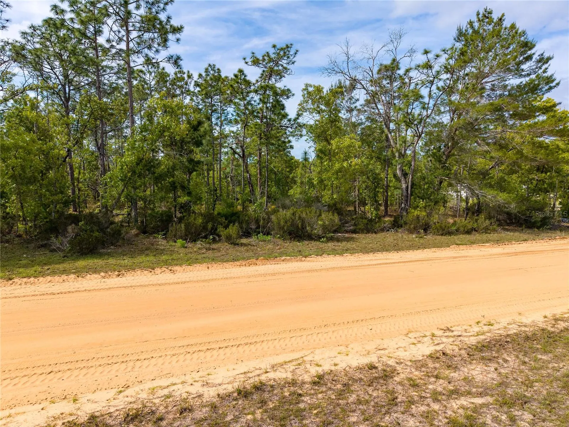 230 Melrose Landing Drive Hawthorne FL 32640