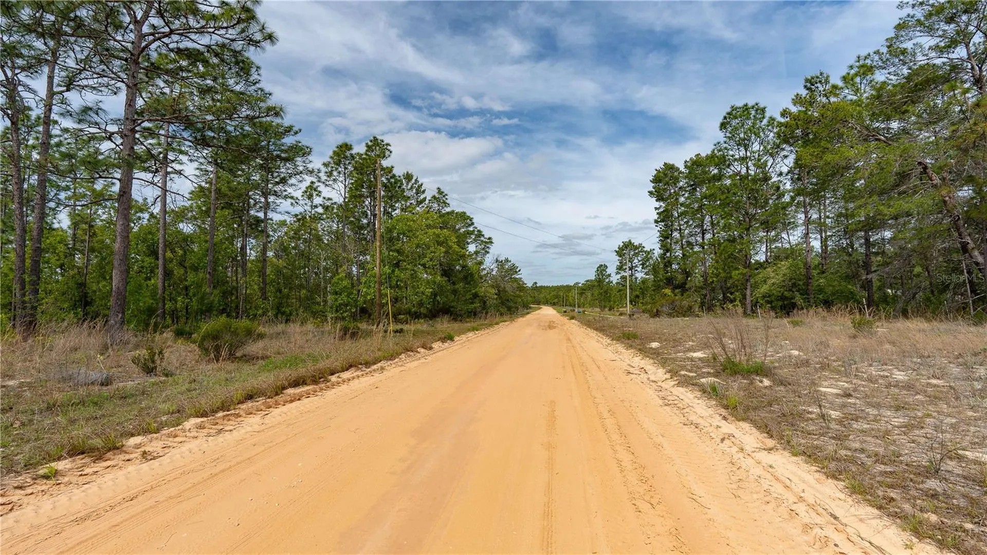 230 Melrose Landing Drive Hawthorne FL 32640