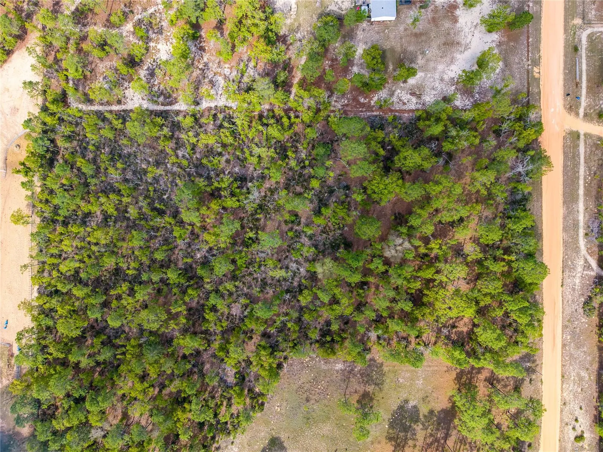 230 Melrose Landing Drive Hawthorne FL 32640