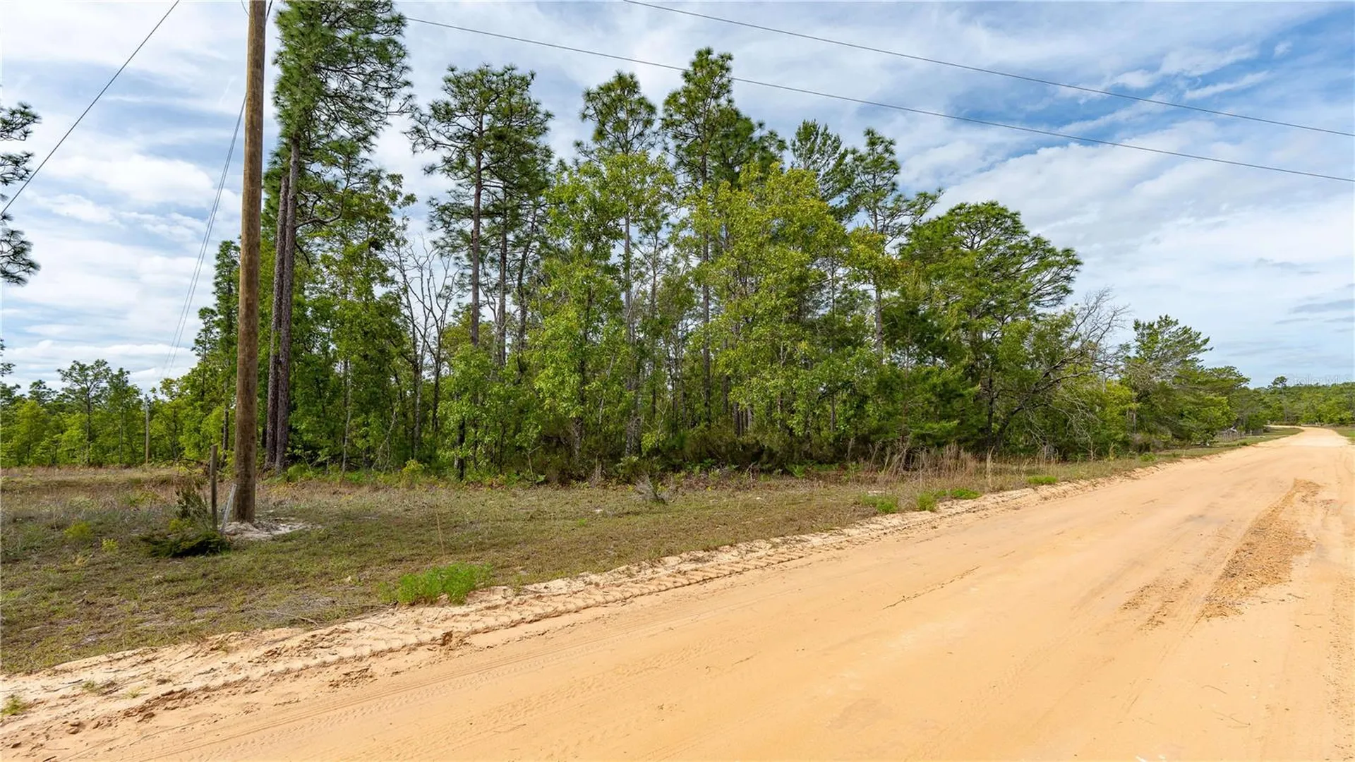 230 Melrose Landing Drive Hawthorne FL 32640