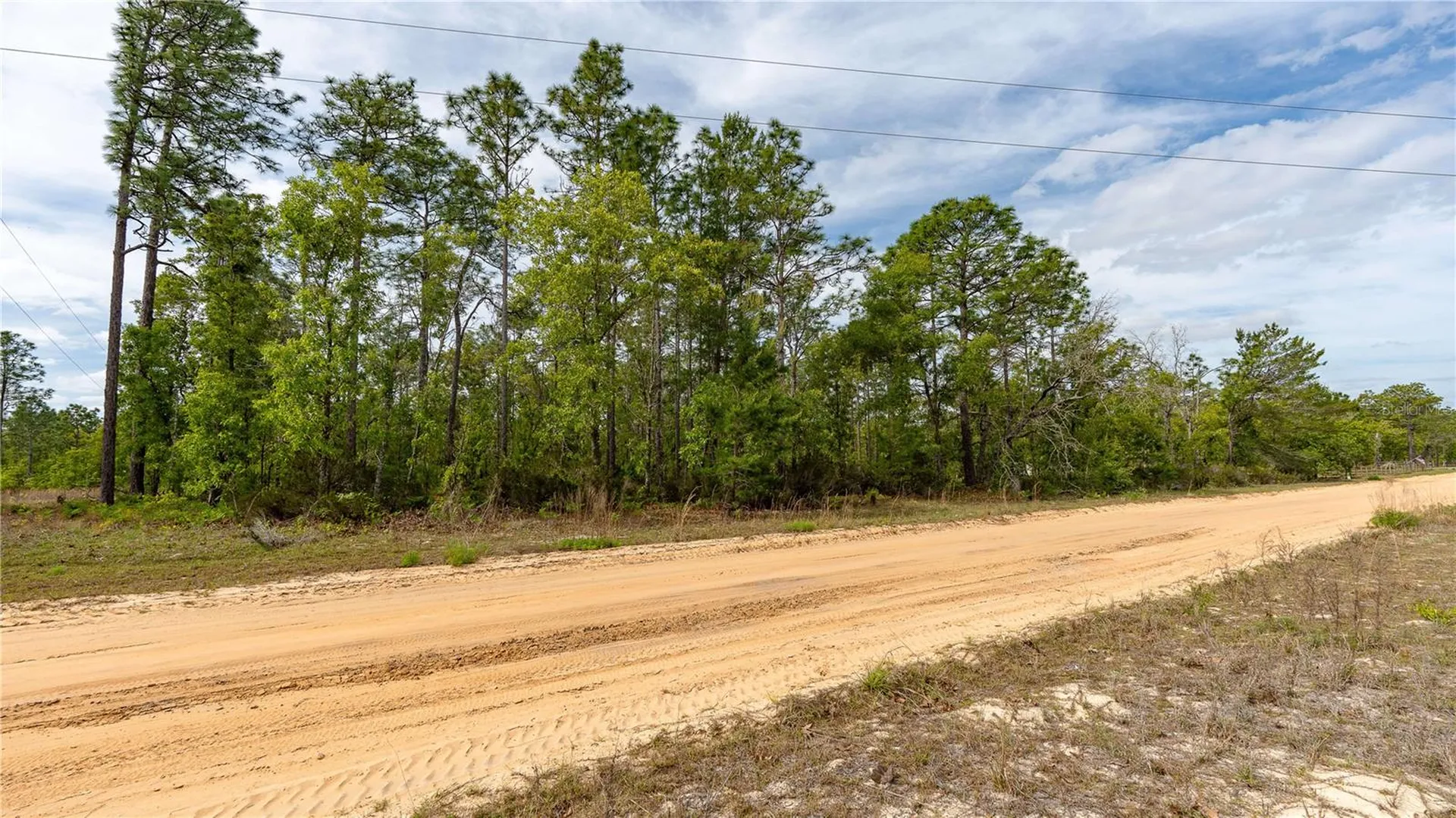 230 Melrose Landing Drive Hawthorne FL 32640