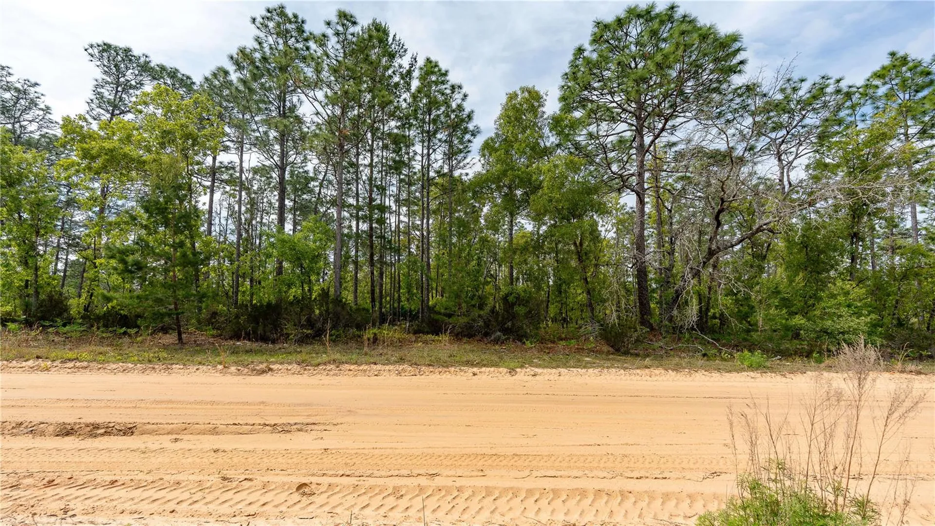 230 Melrose Landing Drive Hawthorne FL 32640