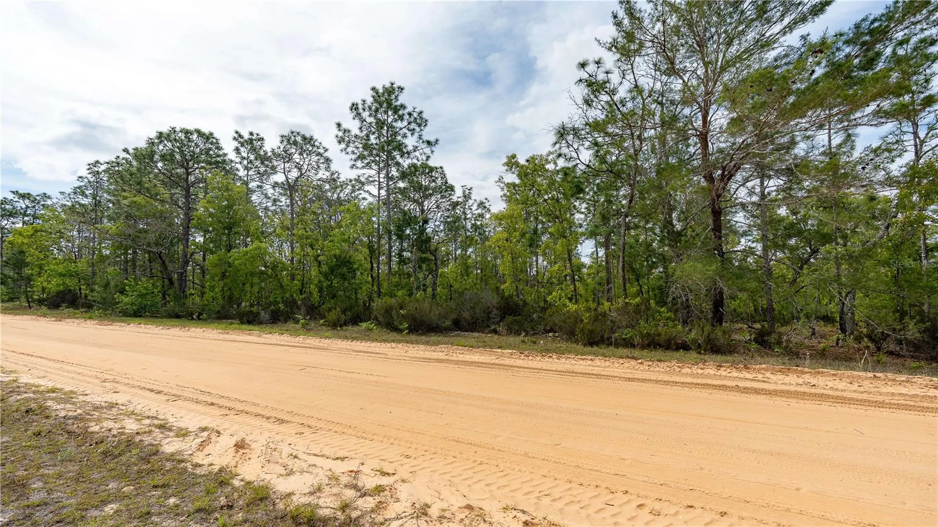 230 Melrose Landing Drive Hawthorne FL 32640