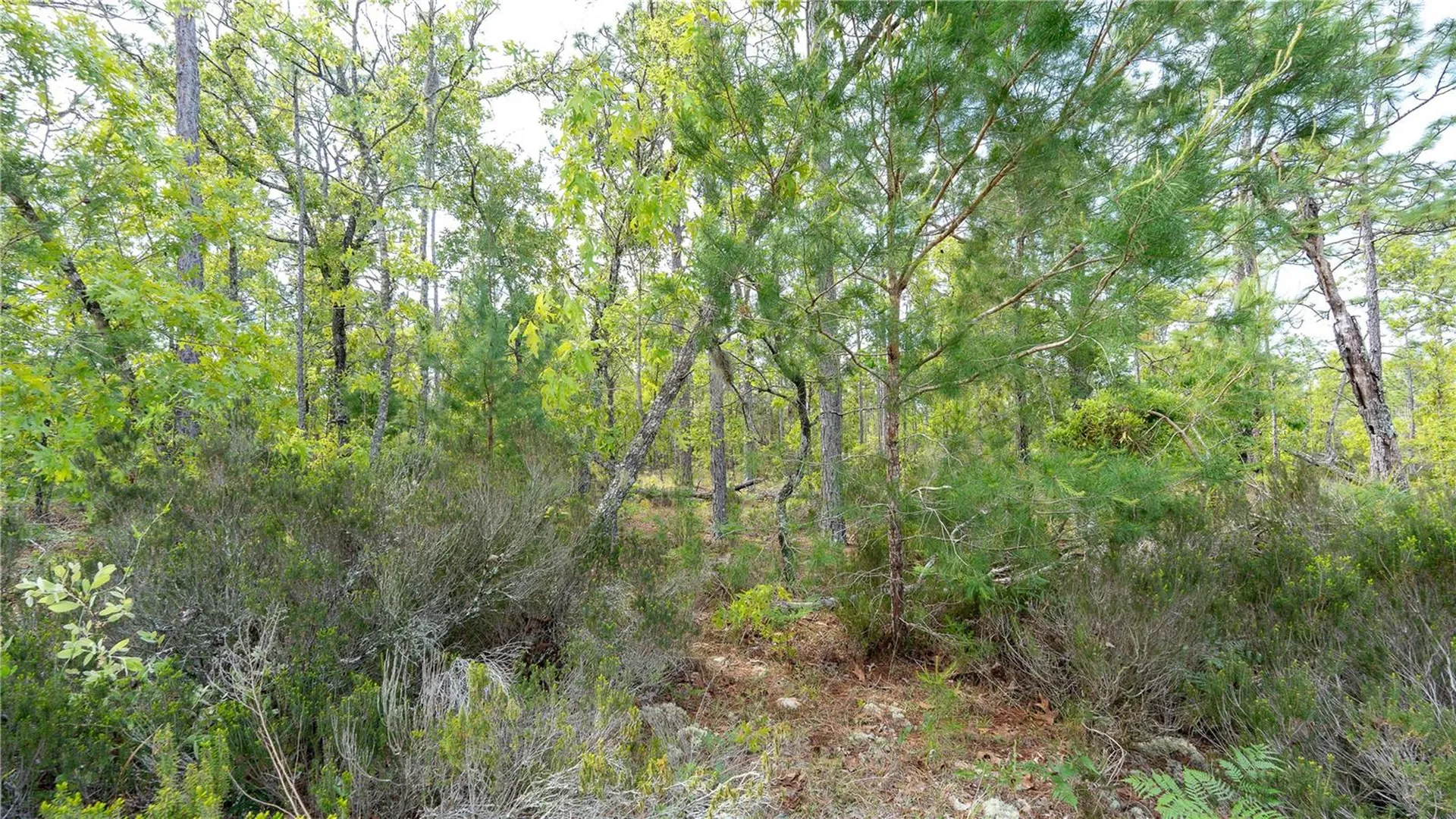 230 Melrose Landing Drive Hawthorne FL 32640