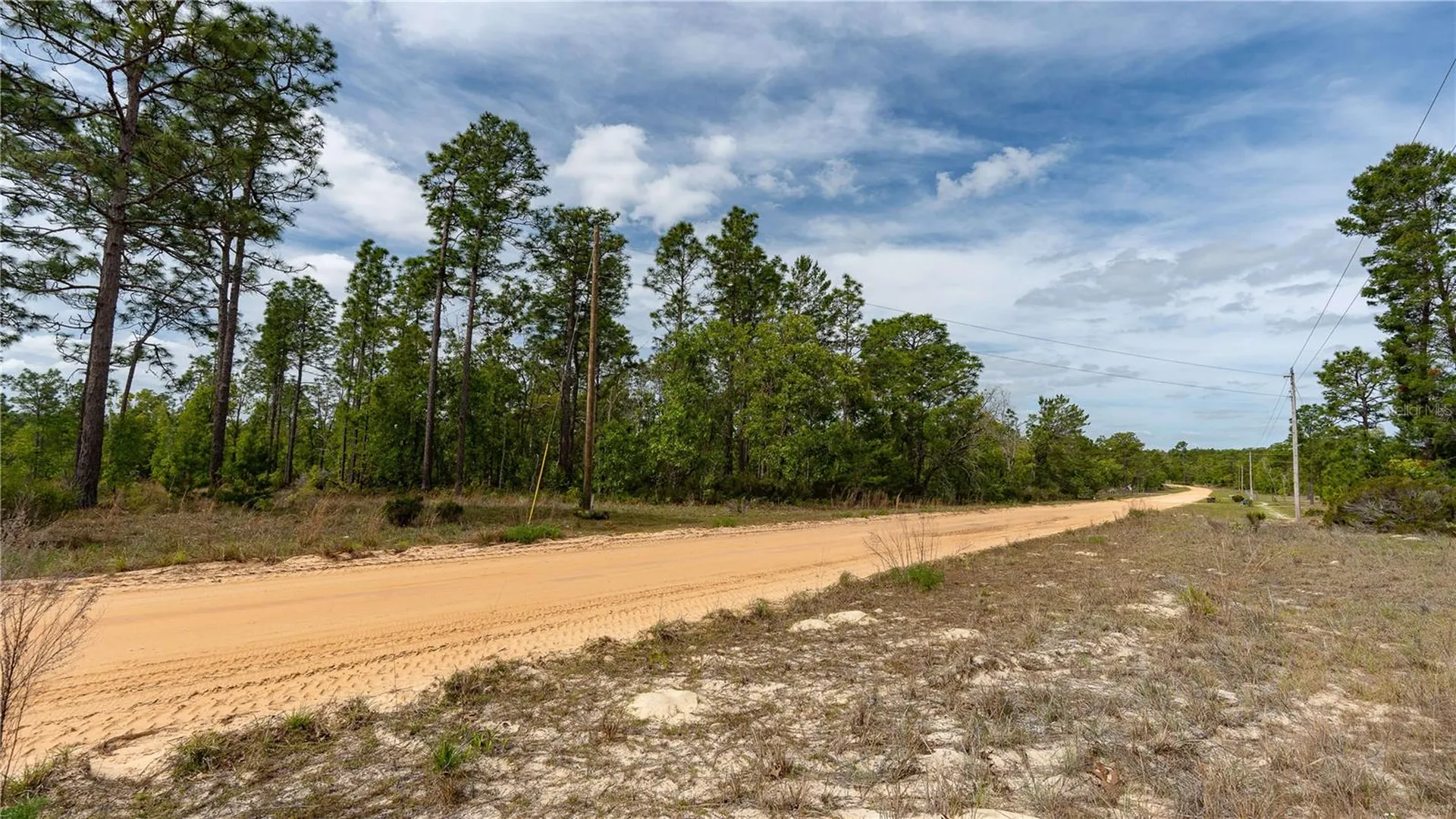 230 Melrose Landing Drive Hawthorne FL 32640