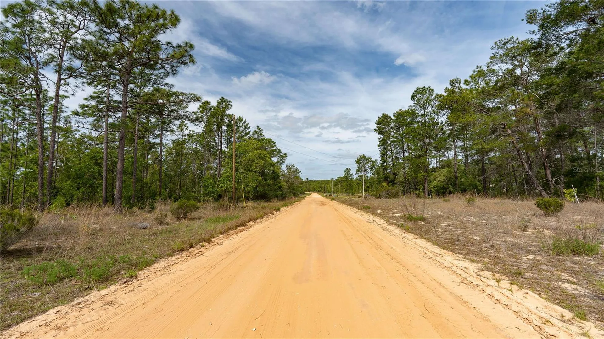 230 Melrose Landing Drive Hawthorne FL 32640