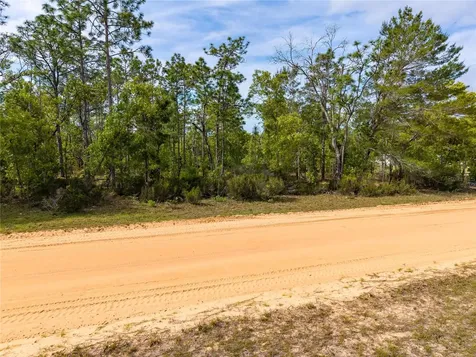 230 Melrose Landing Drive Hawthorne FL 32640