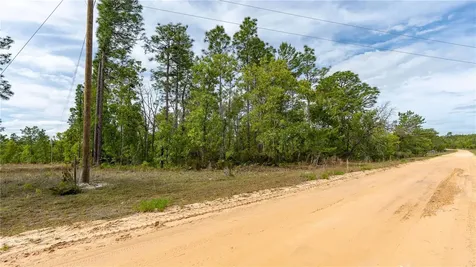 230 Melrose Landing Drive Hawthorne FL 32640