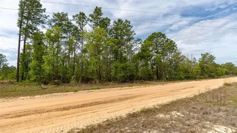 230 Melrose Landing Drive Hawthorne FL 32640