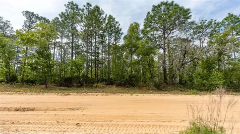 230 Melrose Landing Drive Hawthorne FL 32640