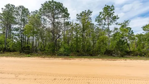 230 Melrose Landing Drive Hawthorne FL 32640