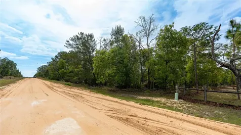 230 Melrose Landing Drive Hawthorne FL 32640