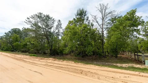 230 Melrose Landing Drive Hawthorne FL 32640