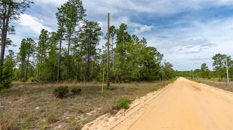 230 Melrose Landing Drive Hawthorne FL 32640