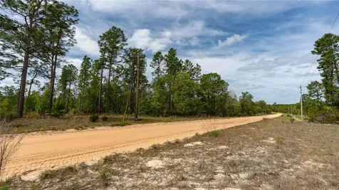 230 Melrose Landing Drive Hawthorne FL 32640