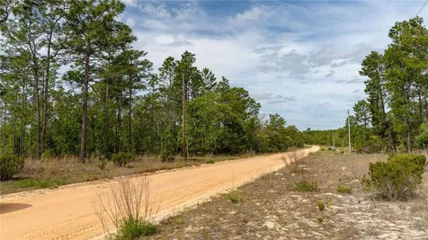 230 Melrose Landing Drive Hawthorne FL 32640
