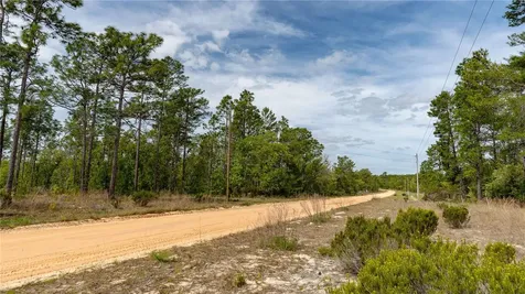 230 Melrose Landing Drive Hawthorne FL 32640