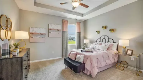 32693 Duluth Drive Wesley Chapel FL 33543