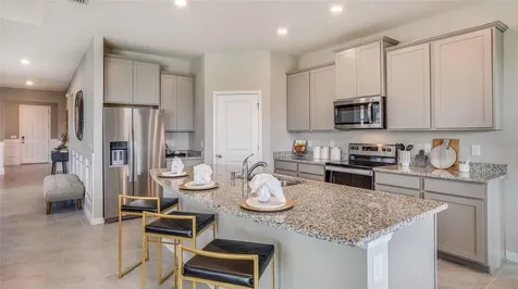 32693 Duluth Drive Wesley Chapel FL 33543
