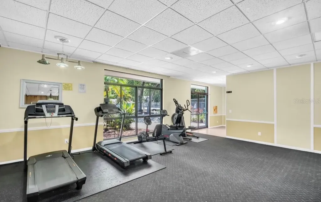 3067 Pointer Drive Palm Harbor FL 34683