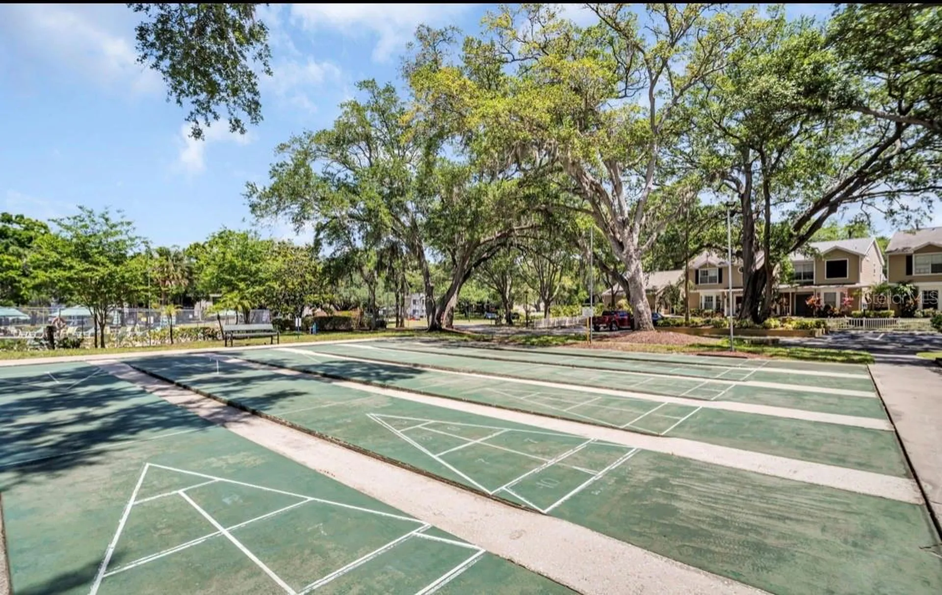 3067 Pointer Drive Palm Harbor FL 34683
