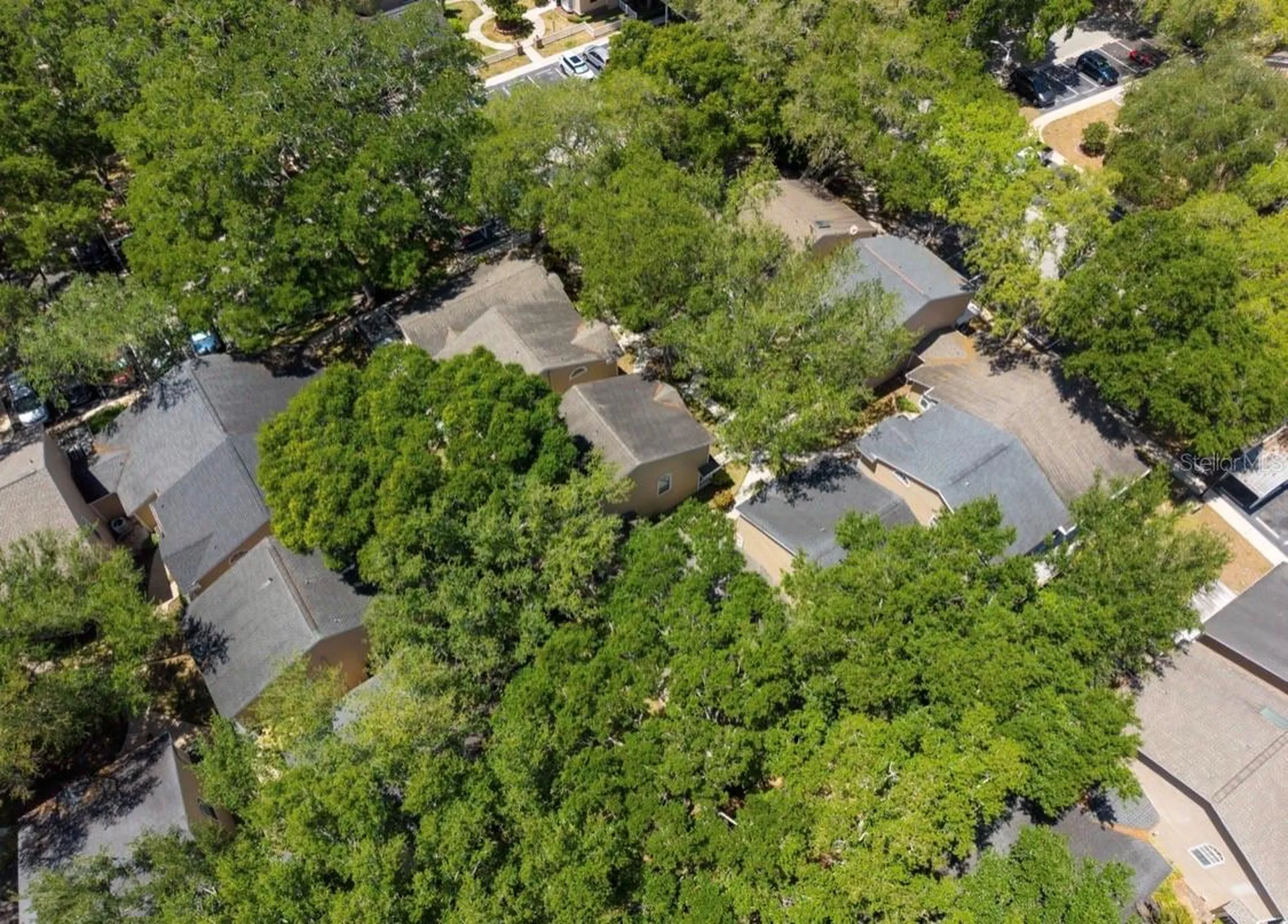 3067 Pointer Drive Palm Harbor FL 34683