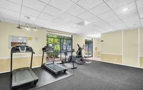 3067 Pointer Drive Palm Harbor FL 34683