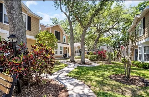 3067 Pointer Drive Palm Harbor FL 34683