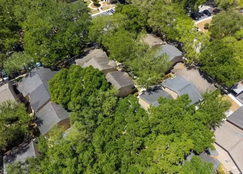 3067 Pointer Drive Palm Harbor FL 34683