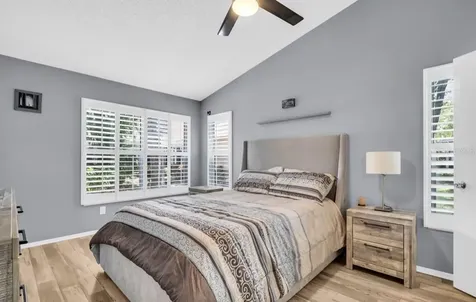 3067 Pointer Drive Palm Harbor FL 34683