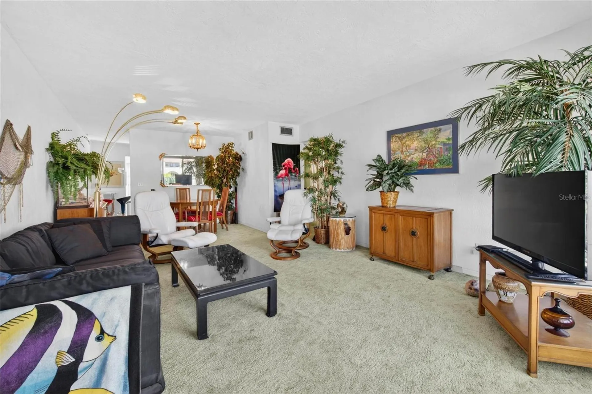 2430 Brazilia Drive Clearwater FL 33763