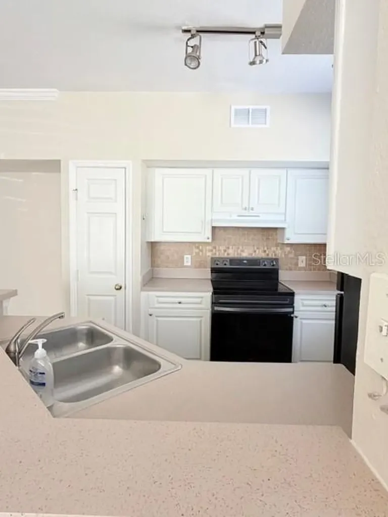 9108 Lake Chase Island Way Tampa FL 33626
