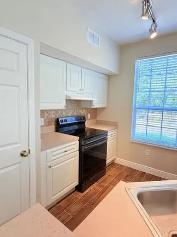 9108 Lake Chase Island Way Tampa FL 33626