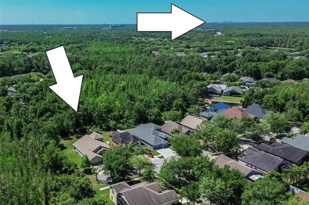 8215 Myrtle Point Way Tampa FL 33647