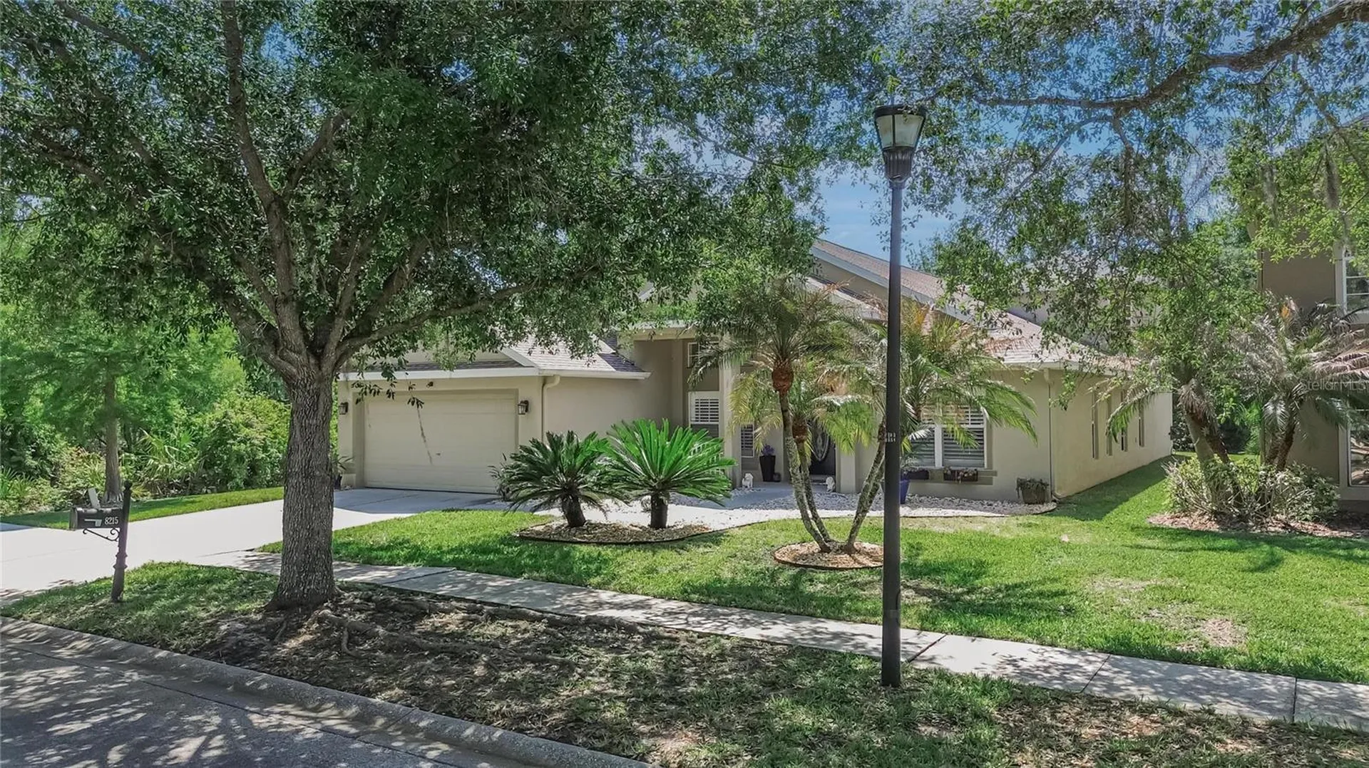 8215 Myrtle Point Way Tampa FL 33647