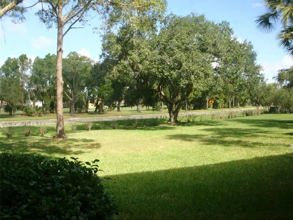 111 E Cypress Court Oldsmar FL 34677